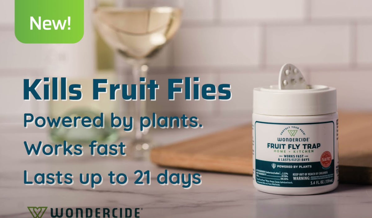 Image of a Wondercide product labeled Fruit Fly Trap on a kitchen counter. Text on the image reads: Kills Fruit Flies, Powered by plants, Works fast, Lasts up to 21 days. A glass of white wine is in the background.