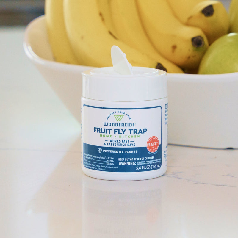 A white Wondercide (2 Pack) Fruit Fly Trap for Home + Kitchen sits on a counter in front of a bowl of bananas, ready to protect your space from fruit flies.