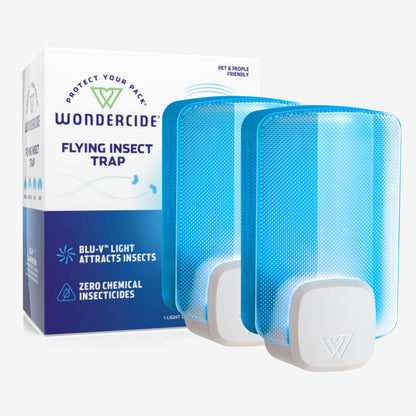 Flying Insect Trap