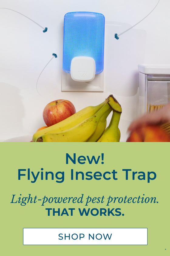 New Flying Insect Trap! Light powered pest protection that works. Shop now.