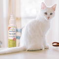 A fluffy white kitten sits on a counter next to Wondercide Lemongrass Flea & Tick Spray for Pets + Home, with natural light softly streaming through a window in the background.