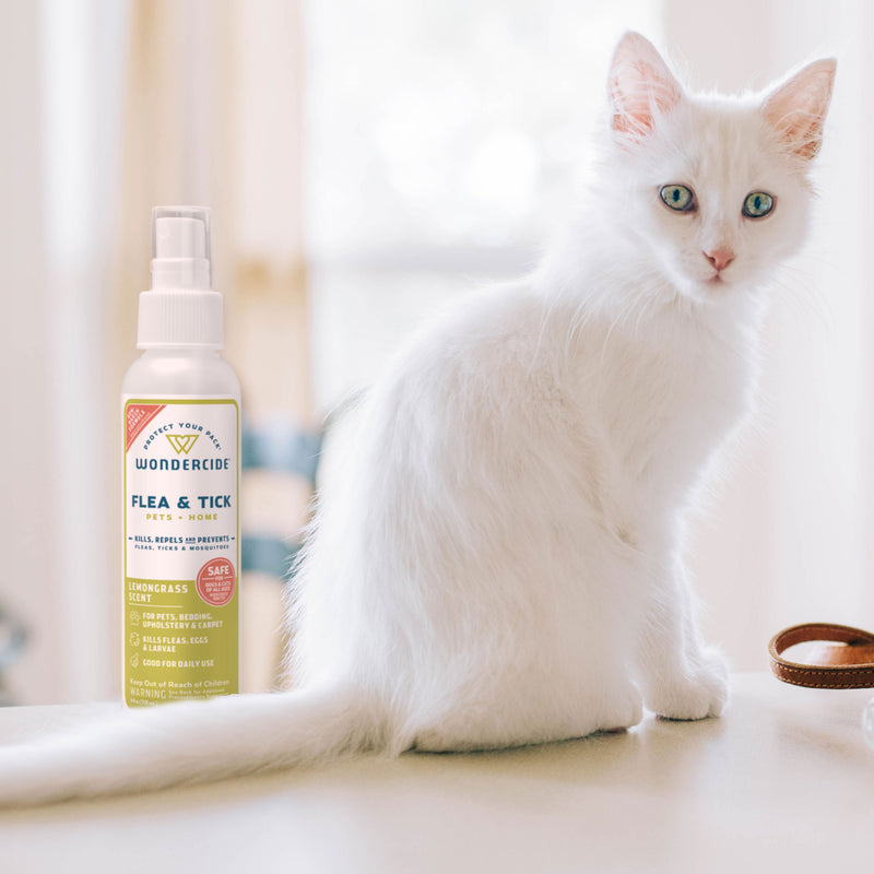 A fluffy white kitten sits on a counter next to Wondercide Lemongrass Flea & Tick Spray for Pets + Home, with natural light softly streaming through a window in the background.