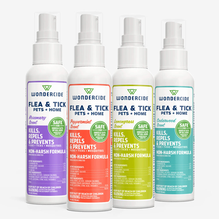Flea & Tick Spray