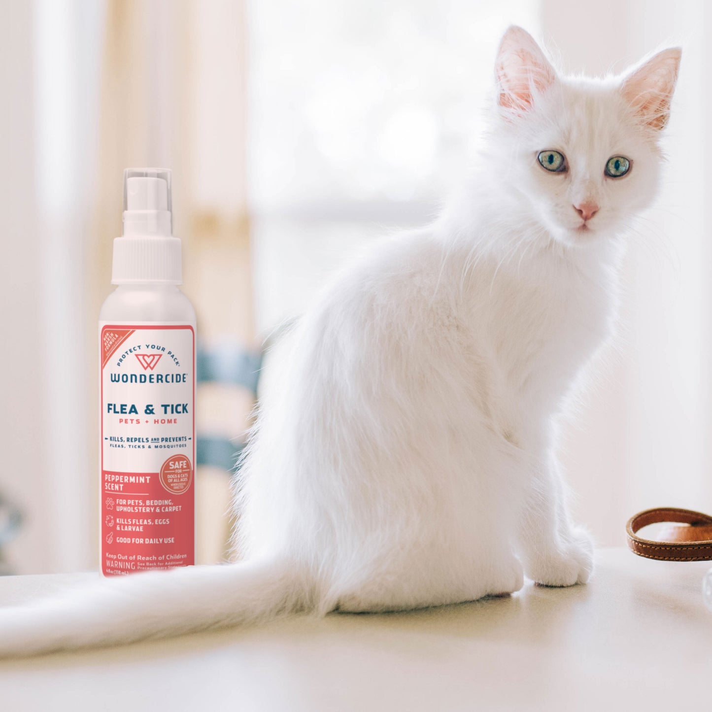 Wondercide Flea & Tick Spray Peppermint with a white cat