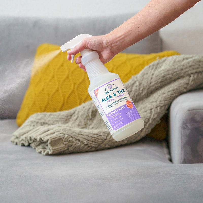 A hand sprays Wondercide Rosemary Flea & Tick Spray for Pets + Home on a gray couch with a green knit blanket and yellow cushion, safe for dogs and cats.