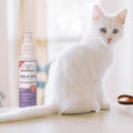A fluffy white cat sits on a light surface next to Wondercide Rosemary Flea & Tick Spray for Pets + Home, with soft natural light streaming through a window in the background.