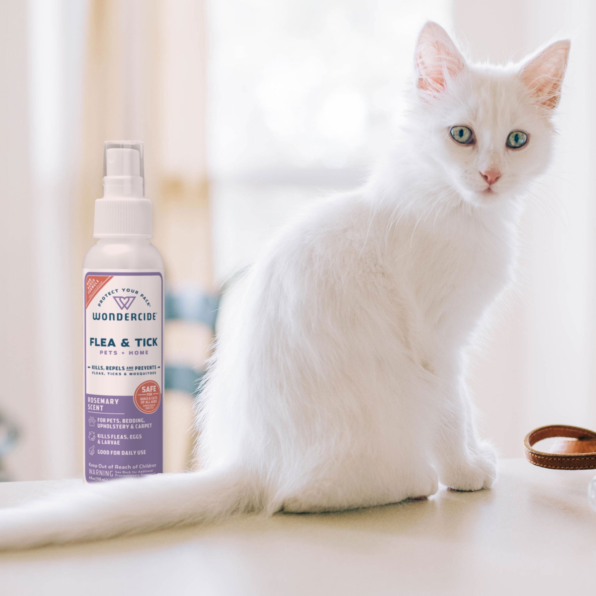 A white cat sits gracefully by a Wondercide Pet Parent Pack, featuring the Shark Tank Bundle with natural essential oils, safe for pets. The gently blurred background highlights a pet-friendly vibe, perfect for keeping your furry friends comfortable and protected.