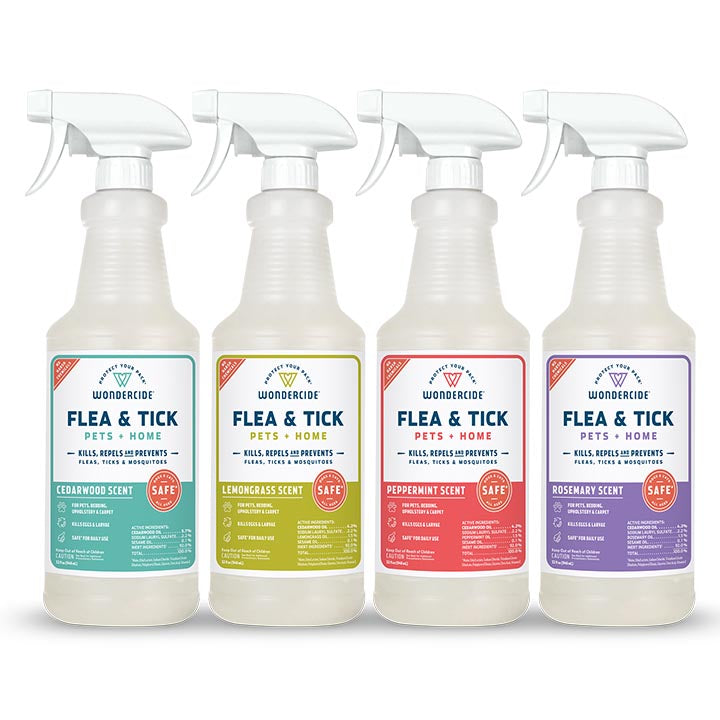 Four spray bottles of Fast Bundle FTPH & Shampoo, each in a different scent—cedarwood, lemongrass, peppermint, and rosemary—feature white spray tops and are made with natural essential oils.