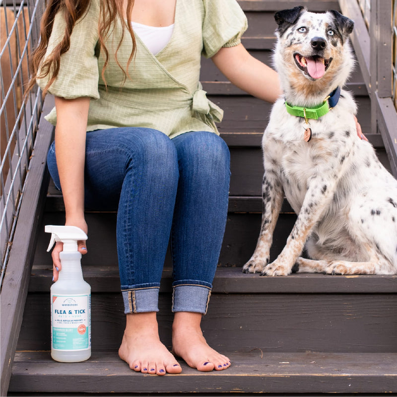 A person in jeans and a green top sits barefoot on outdoor stairs, holding a 128 oz. Wondercide Cedarwood Flea & Tick Spray, with a happy black-and-white spotted dog safely beside them.