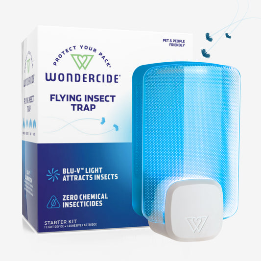 Wondercide Fruit Fly Trap is plant-powered, proven to work, and a snap