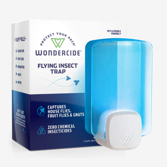 Flying Insect Trap