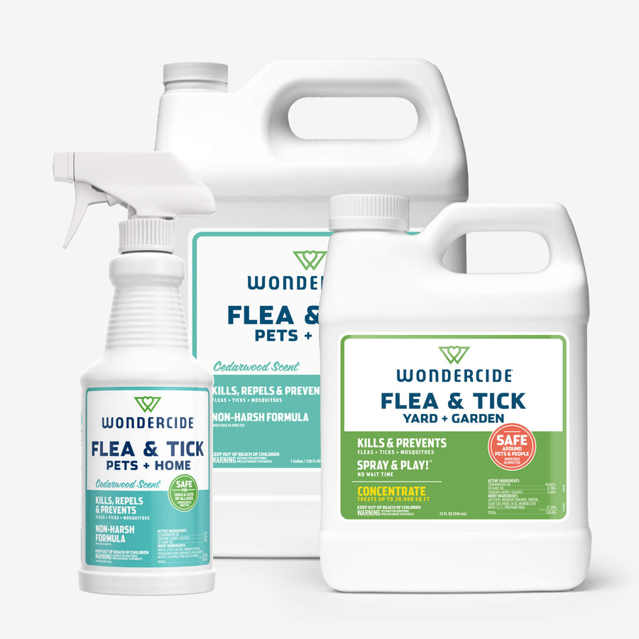 Home Treatment Kit | Flea & Tick Spray