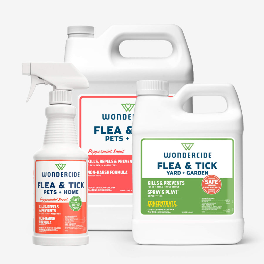 Home Treatment Kit | Flea & Tick Spray