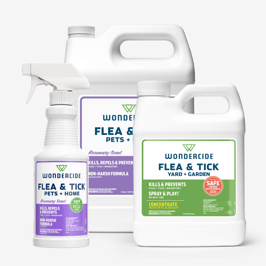 Home Treatment Kit | Flea & Tick Spray