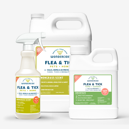 Three Wondercide products: a spray bottle and two jugs labeled Home Treatment Kit | Flea & Tick Spray with Natural Essential Oils against a white background. These pest solutions claim to kill, repel, and prevent fleas, ticks, and mosquitoes while being safe for pets and people.