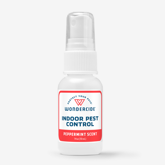 Peppermint Indoor Pest Control for Home + Kitchen with Natural Essential Oils