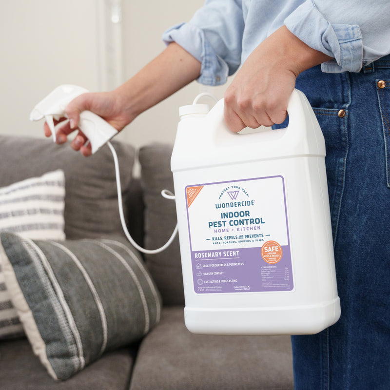 A person holds a large white spray bottle of Wondercide Rosemary Indoor Pest Control for Home + Kitchen, with a gray couch and striped pillows in the living room background.