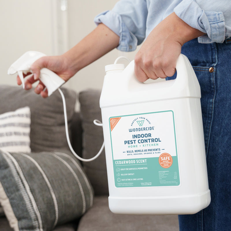 A person holds a spray wand and a large white Wondercide Cedarwood Indoor Pest Control for Home + Kitchen, providing pet-safe indoor pest protection in a living room with a gray couch and striped pillow.