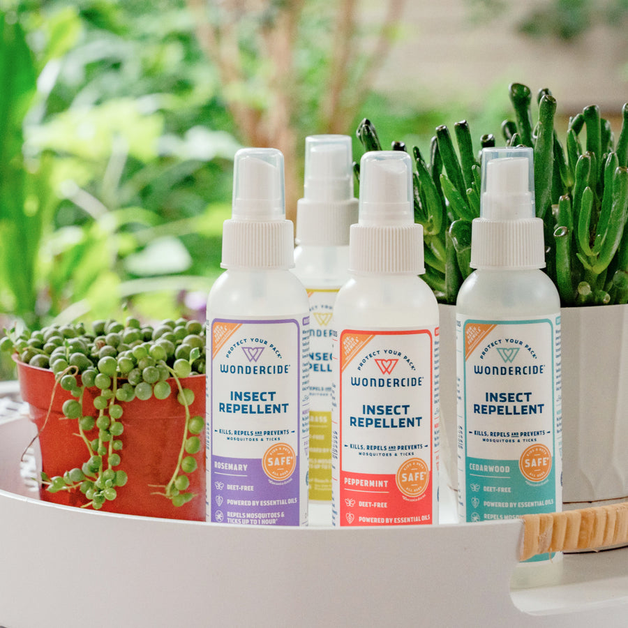 Four bottles of Wondercide Insect Repellent for Family in assorted scents sit on a white tray among potted green plants, with a blurred outdoor garden backdrop. Naturally repels ticks and mosquitoes.