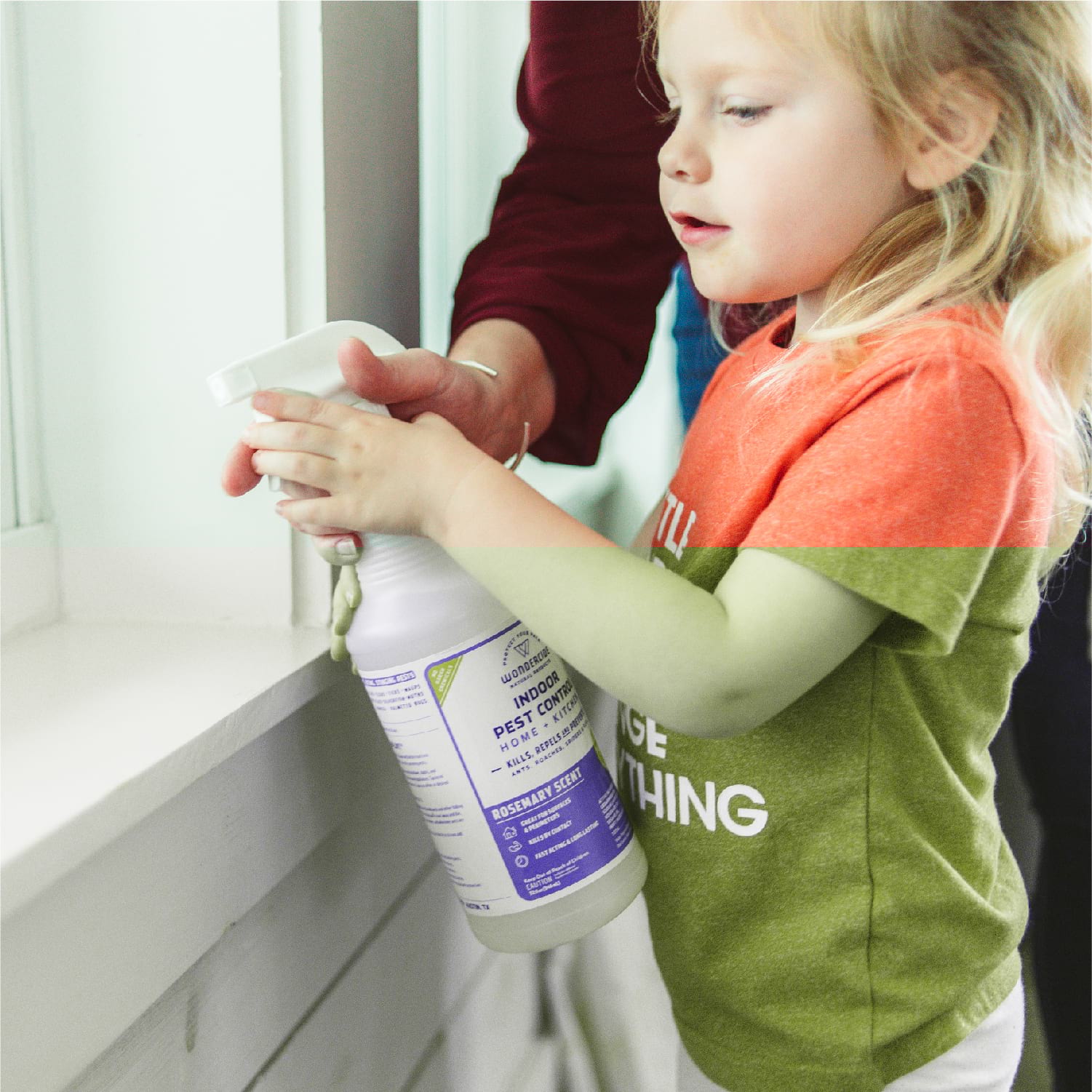 Rosemary Indoor Pest Control for Home + Kitchen - In Use