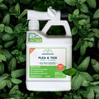 A white bottle of Wondercide Ready-to-Use Flea & Tick Spray for Yard + Garden sits on green mint leaves, featuring a hose attachment and green label that highlights its pet- and family-safe formula for flea and tick protection.