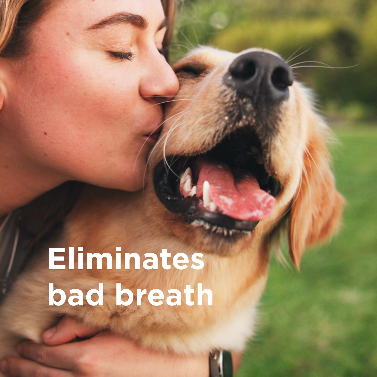A woman kisses a happy, smiling dog outdoors. The text on the image reads, Eliminates bad breath with our alcohol-free Wondercide RESCUE™ Oral Spray for Dogs & Cats.