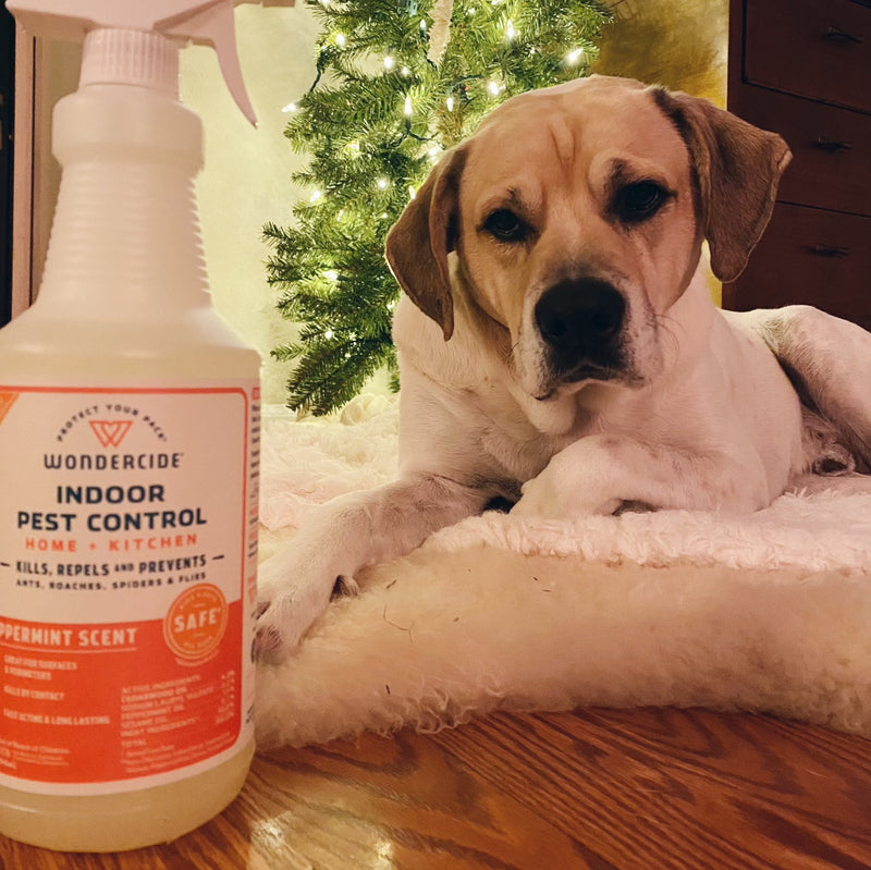 A dog lying on a fluffy rug in front of a lit Christmas tree. In the foreground, there is a spray bottle of Wondercide Indoor Pest Control with a peppermint scent. The setting is cozy and warm.