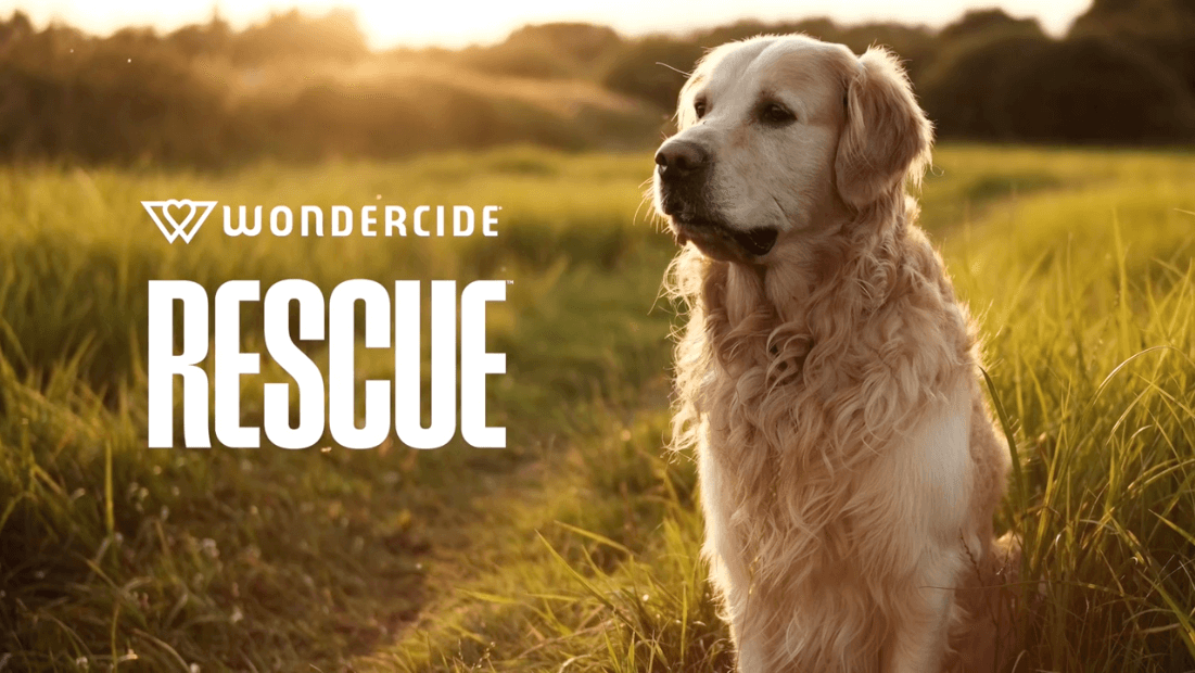 Wondercide Rescue golden retriever in field, May 23 screenshot