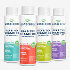 Four bottles of Wondercide Flea & Tick Shampoo are displayed in cedarwood, peppermint, lemongrass, and lavender scents. These white bottles have colorful labels and provide natural protection against fleas and ticks.