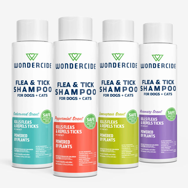 Four bottles of Wondercide Flea & Tick Shampoo are displayed in cedarwood, peppermint, lemongrass, and lavender scents. These white bottles have colorful labels and provide natural protection against fleas and ticks.