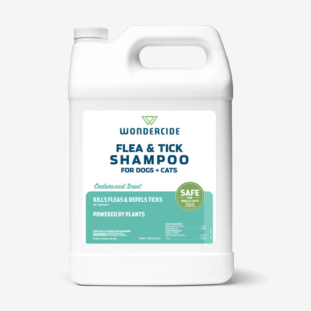 Flea & Tick Shampoo