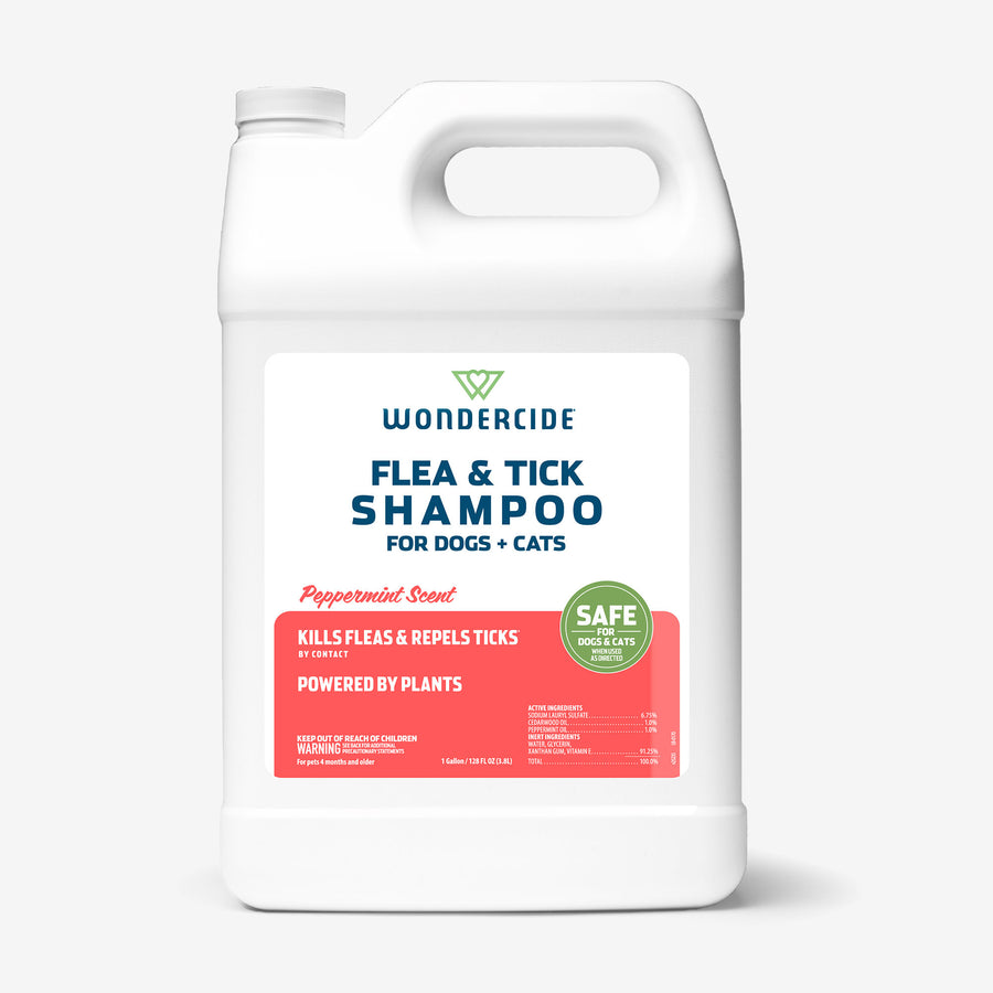 Flea & Tick Shampoo