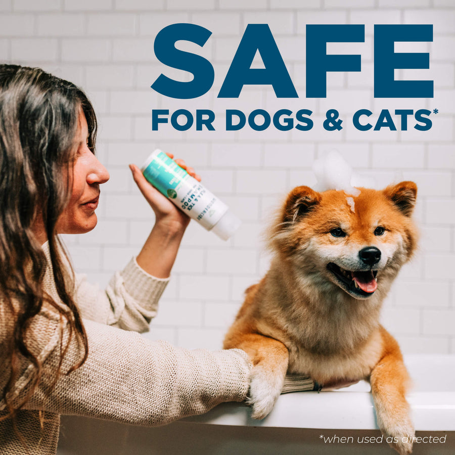Flea & Tick Shampoo