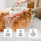 Flea & Tick Shampoo