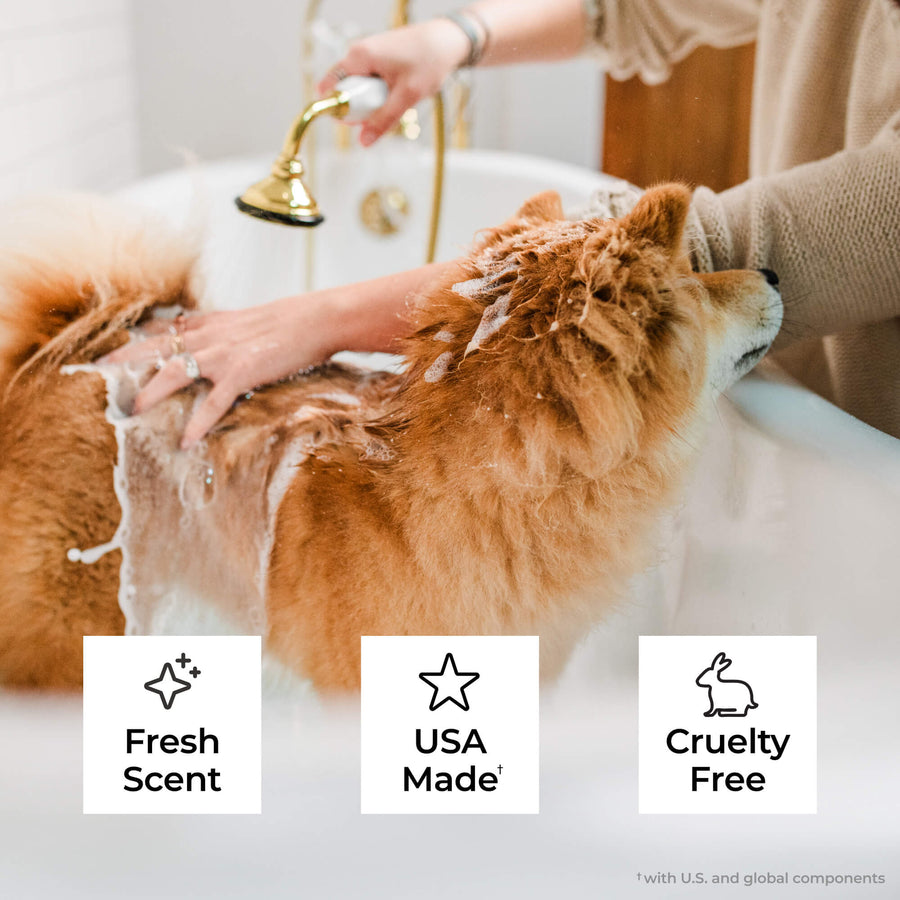 Flea & Tick Shampoo