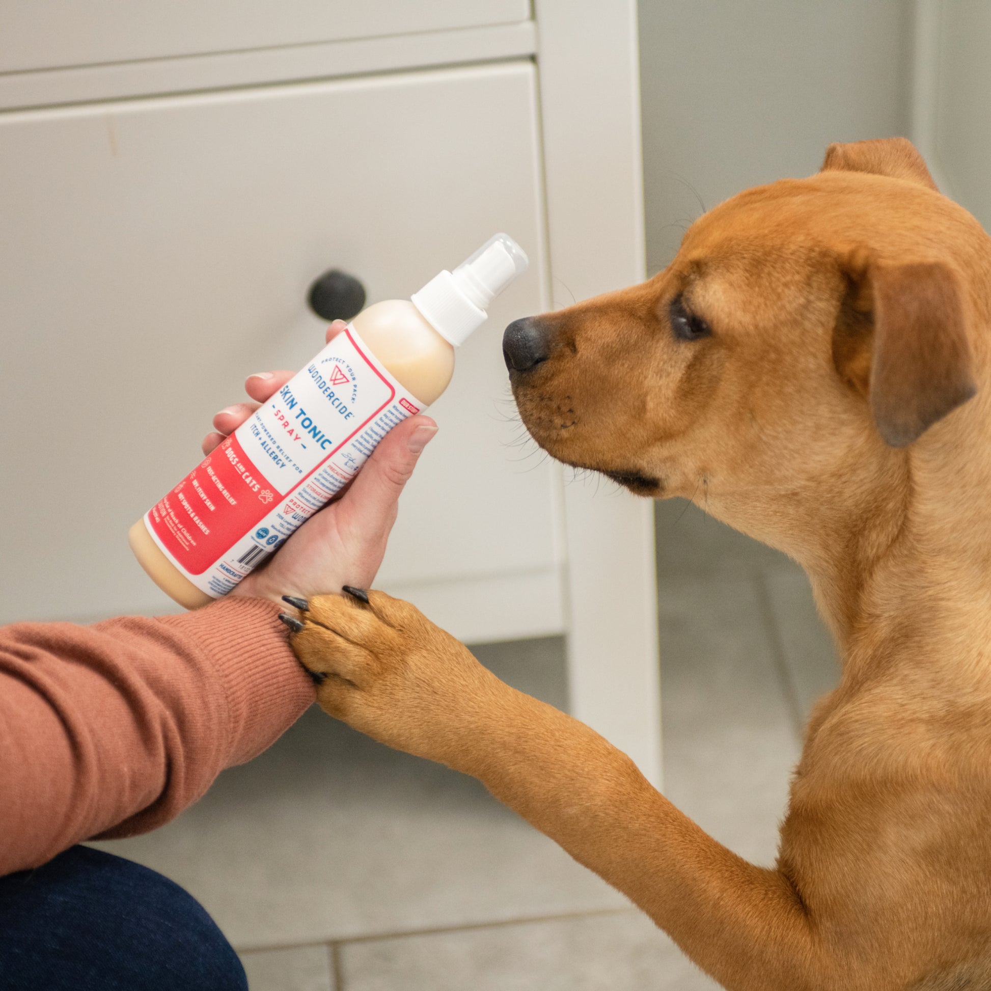 A brown dog reaches a paw to a person in a brown sweater kneeling by a white cabinet, intrigued by the Wondercide Pet Parent Pack | Shark Tank Bundle with Natural Essential Oils, which is safe for dogs and cats.
