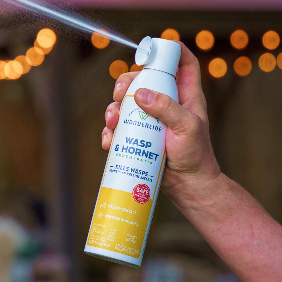 A hand sprays Wondercide Wasp & Hornet for Porch + Patio outdoors, with blurred lights in the background—the perfect solution for killing wasps and yellow jackets.