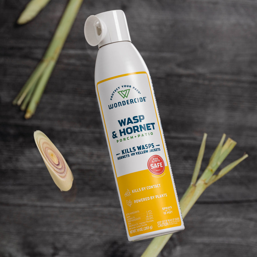 A can of Wondercide Wasp & Hornet for Porch + Patio sits on a dark wooden surface, surrounded by pieces of lemongrass.
