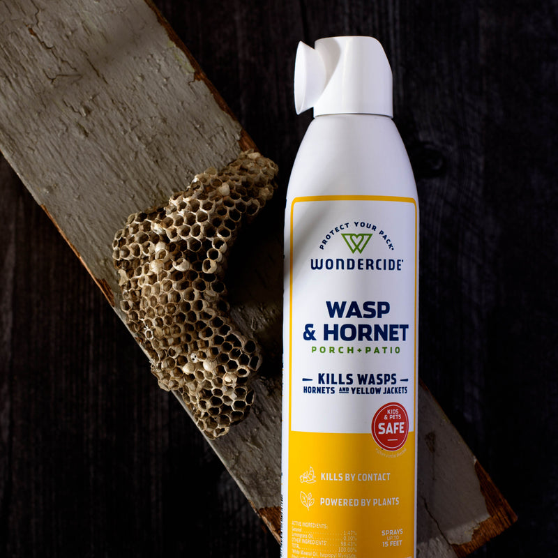 A can of Wondercide Wasp & Hornet for Porch + Patio stands upright beside a wasp nest on wood, both on a dark surface. The can features plant-based, family-safe, and effective wasp and yellow jacket killer benefits.