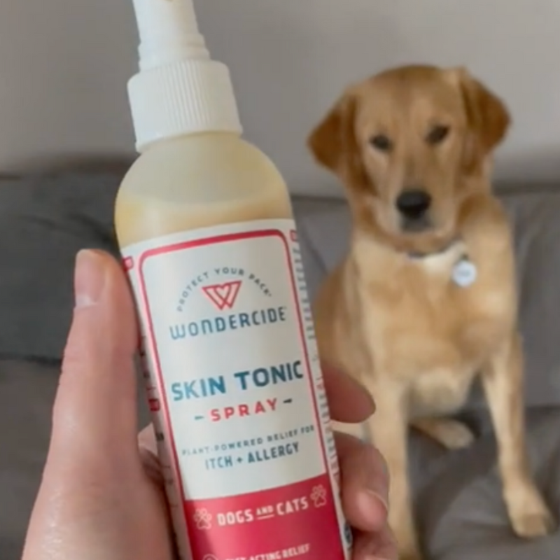 A hand holds a bottle of Wondercide Skin Tonic Spray, labeled for itch and allergy relief for dogs and cats. In the background, a golden retriever sits on a couch, slightly out of focus.