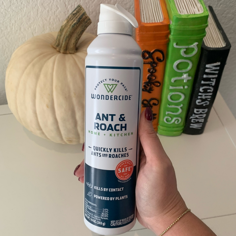 A hand holds a can of Wondercide Ant & Roach spray in front of a white pumpkin and Halloween-themed books labeled spells, potions, and witchs brew. The spray claims to quickly kill ants and roaches and is powered by plants.