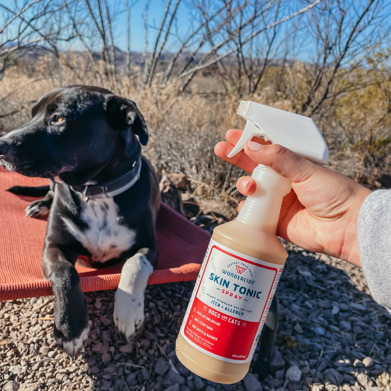 A person holds a Wondercide Skin Tonic spray bottle outdoors. A black and white dog lies on an orange mat nearby, surrounded by dry grass and plants. The scene is sunny with a clear blue sky.