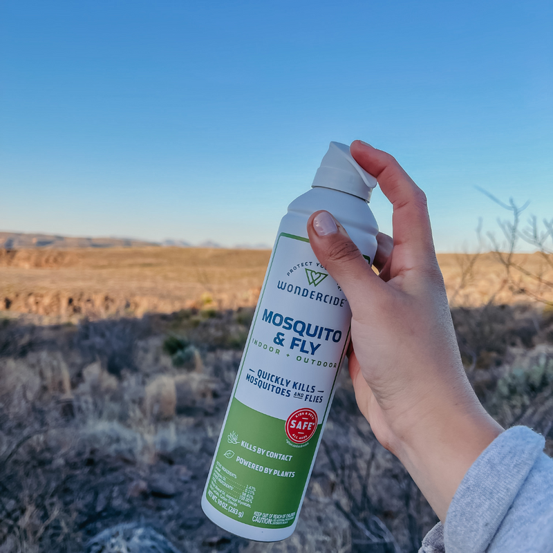 A hand holding a can of Wondercide Mosquito & Fly spray outdoors with a vast desert landscape in the background. The can features green and white labeling, contrasting with the clear blue sky.