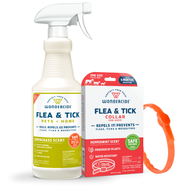 Flea and Tick 