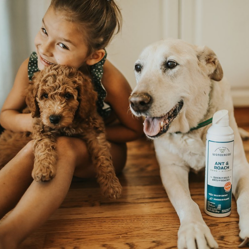 A child smiling while holding a brown puppy, sitting next to a large white dog. A can of ant and roach spray is placed on the wooden floor beside the white dog.