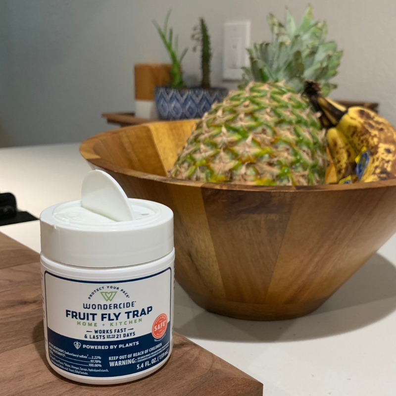 A container of Wondercide Fruit Fly Trap sits on a kitchen counter in front of a wooden bowl filled with a pineapple and bananas. A small potted plant is in the blurred background.