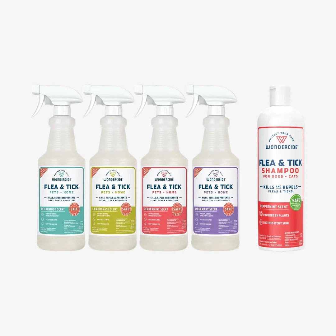 Five bottles of Fast Bundle FTPH & Shampoo are displayed, including four Flea & Tick Sprays with colorful labels and one tall bottle of Flea & Tick Shampoo for dogs and cats, all made with natural essential oils.