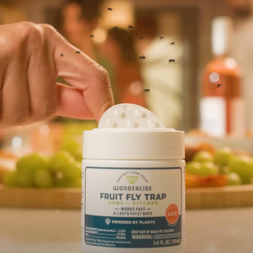 FRUIT FLY BAR PRO FLY STRIP - US Foods CHEF'STORE