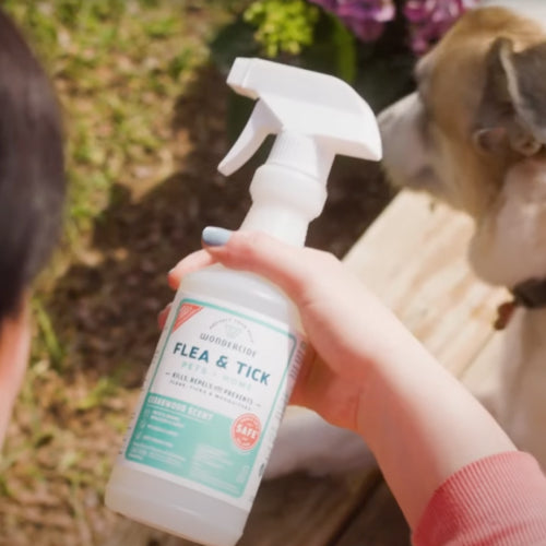plant-powered flea-and-tick spray for pets and home