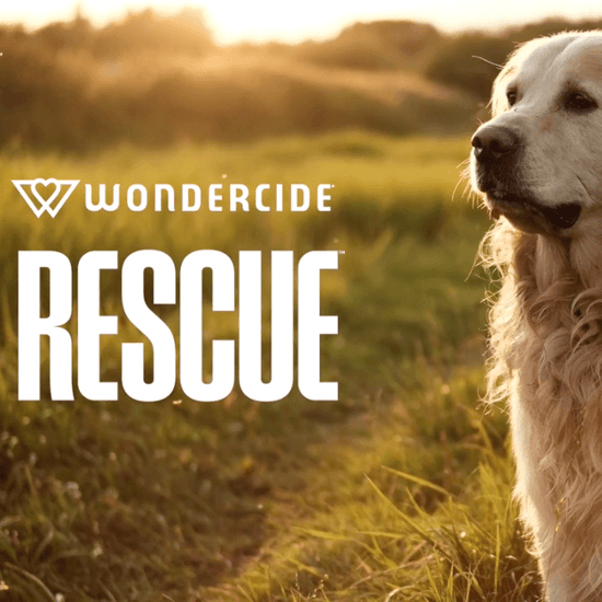 RESCUE